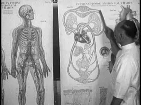 Man pointing to anatomical charts of the human body and organs, vintage educational film.