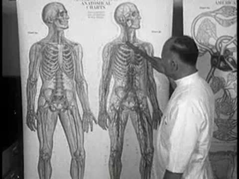 Man pointing to anatomical charts showing the skeletal and muscular systems, vintage educational film.