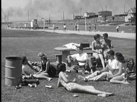 Wide shot of a group of people picnicking on grass near beach.