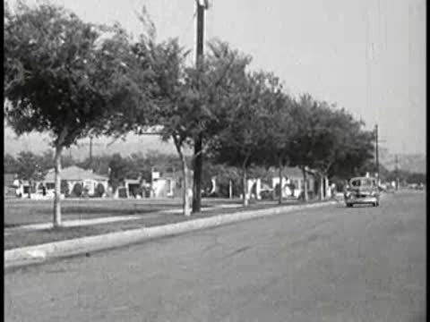 Couple driving in a car on a tree-lined residential street.