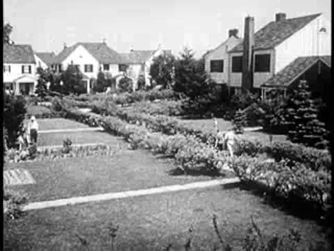 Aerial view of suburban houses and green gardens with pathways.