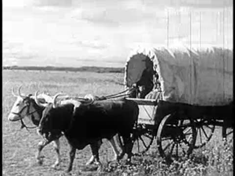 Close-up of a covered wagon being pulled by oxen across the plains