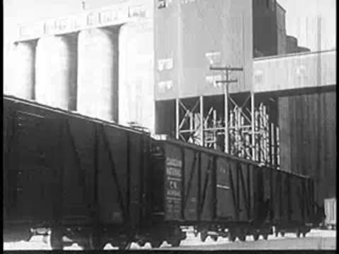 Freight train cars parked beside a large industrial grain elevator.