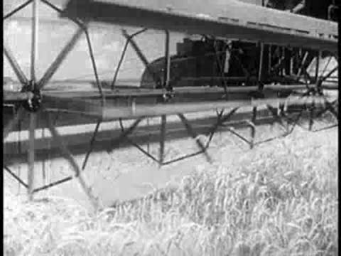 Large agricultural harvesting machine cutting wheat in a field