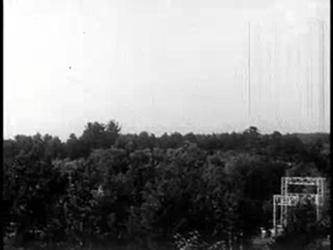 Panoramic view of a dense green forest landscape under a bright sky