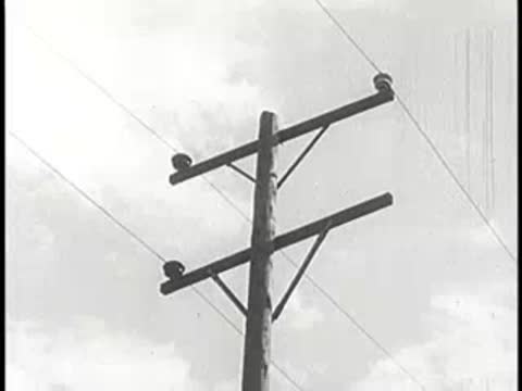 Wooden utility poles with crossarms and power lines against an overcast sky