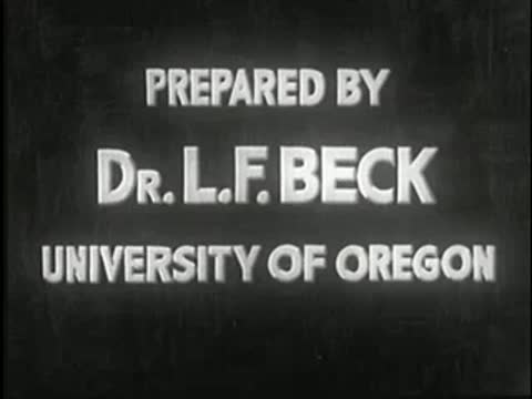 Title card transitions to "Prepared by Dr. L.F. Beck University of Oregon", static.
