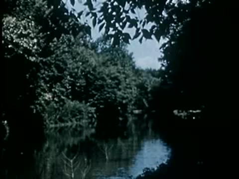 Calm river flowing through a lush green forest with reflections, mid-20th century.