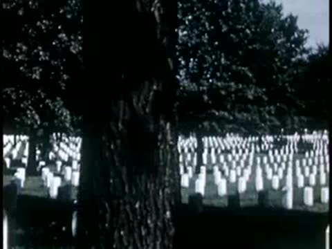 Cemetery with rows of white gravestones on grassy slope