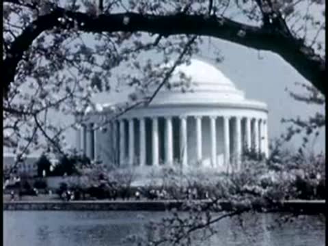 Medium view of the Jefferson Memorial framed by cherry blossom tree branches.