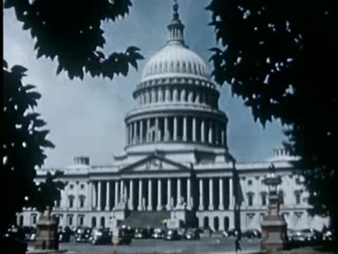Medium shot of the U.S. Capitol building framed by overhanging tree branches.