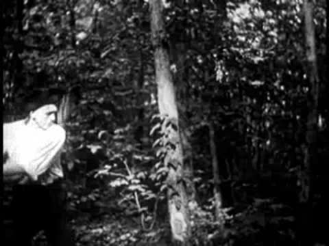 man chopping a tree trunk with an axe in the woods