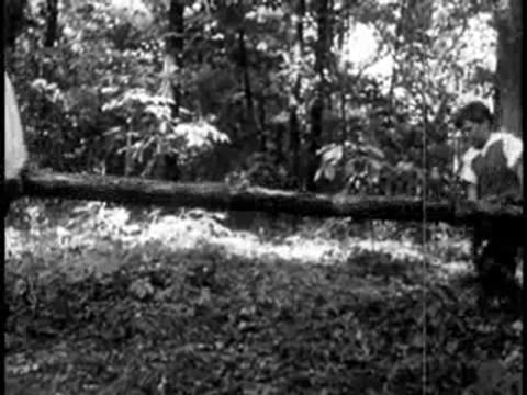 two men carrying a heavy wooden log through the woods
