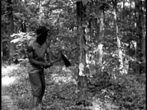man chopping wood with an axe in a forest clearing