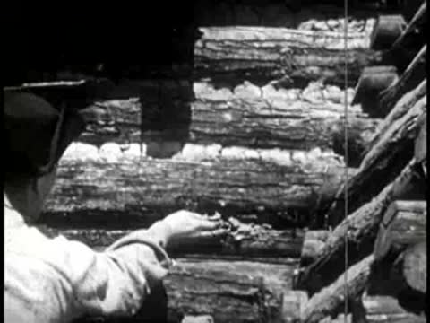 A settler walking away from a finished log cabin.