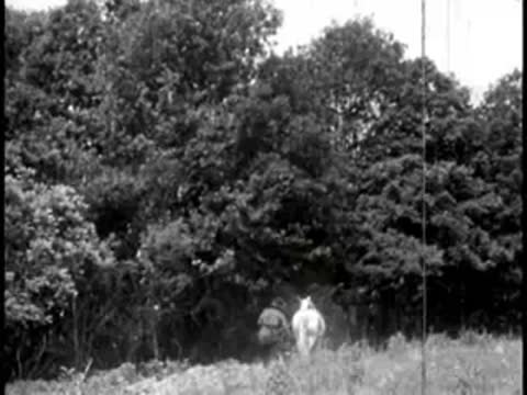 A pioneer walking a horse across a field near trees.