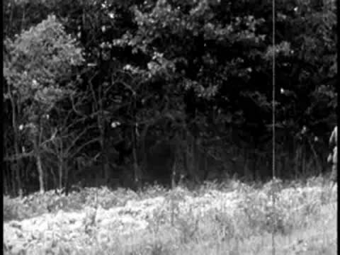 A pioneer walking along the edge of a wooded field.