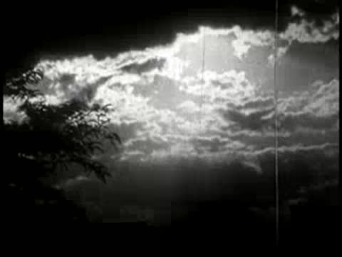 Fluffy clouds drifting past trees against a bright sky.