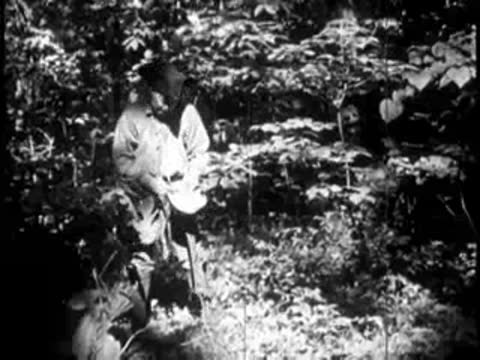 A pioneer standing with a tool near trees in a forest clearing