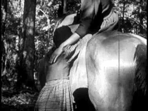 A child embracing an adult mounted on a horse in the woods