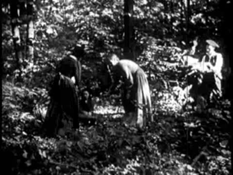 Group of people working outdoors near tents in a wooded clearing.