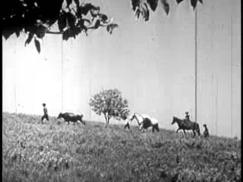 People and livestock walking along a hill in front of a pale wall.