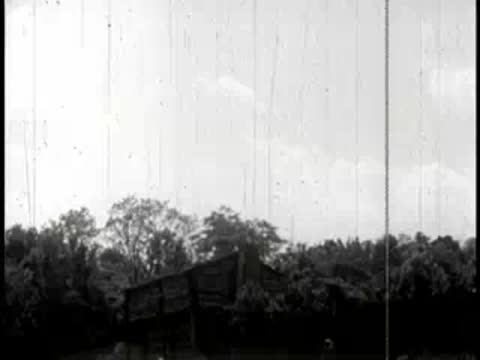 View of a wooden stockade wall with trees in the background.