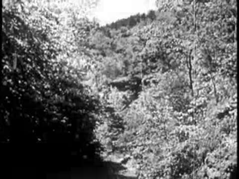 Static view of forested hills and valley under a bright sky
