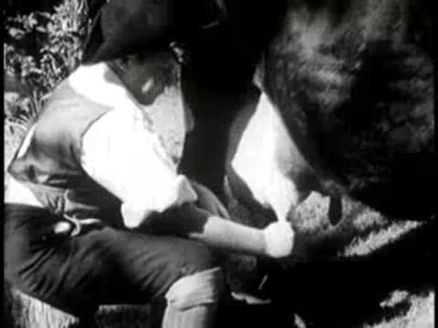 Close-up of a person milking a cow on a farm.
