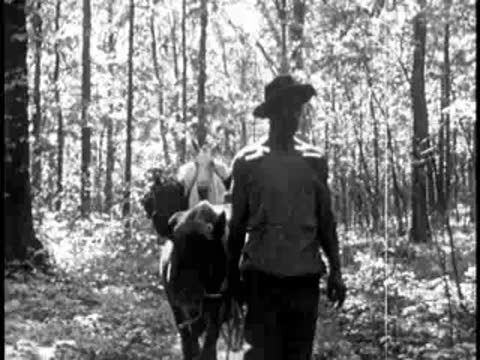 Pioneers with guns and a pack animal walking through a wooded area