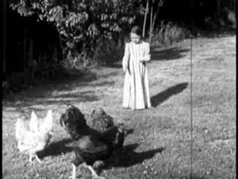 a young girl in a dress standing among chickens in a yard