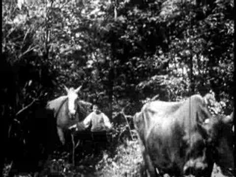 Pioneers leading pack animals and cattle through a wooded area