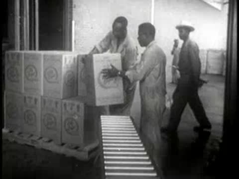 Workers loading boxes of Lily cold drink cups onto a pallet in a warehouse.