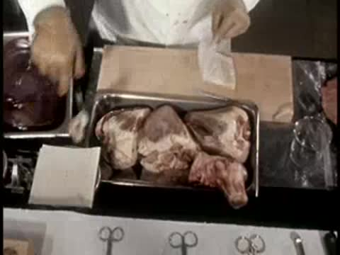 Various cuts of meat displayed on a stainless steel tray in a laboratory setting