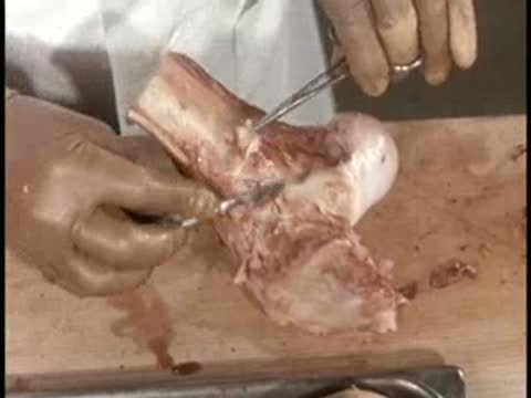 A person using tools to dissect and examine a bone sample on a wooden board