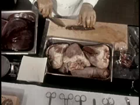 A person packaging small tissue samples on a wooden cutting board with trays nearby