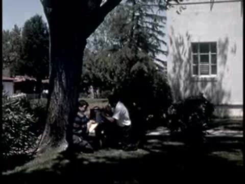 two men sitting under a large tree operating scientific equipment