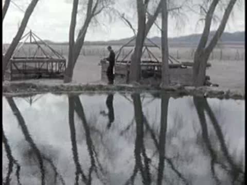 water reflection of trees and rustic wooden structures in a rural desert area