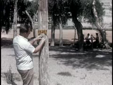 man in light shirt measuring wooden utility pole outdoors