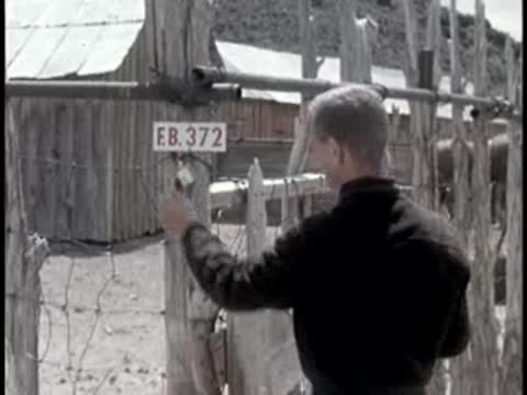 man taking measurements near fence outdoors in desert landscape