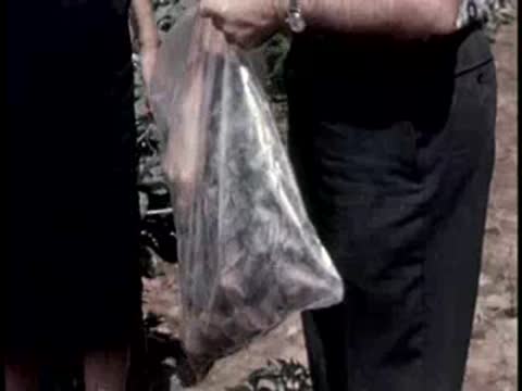 person holding clear plastic bag filled with harvested vegetables