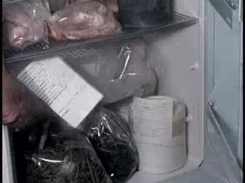 refrigerator interior showing stored bags with labels and containers