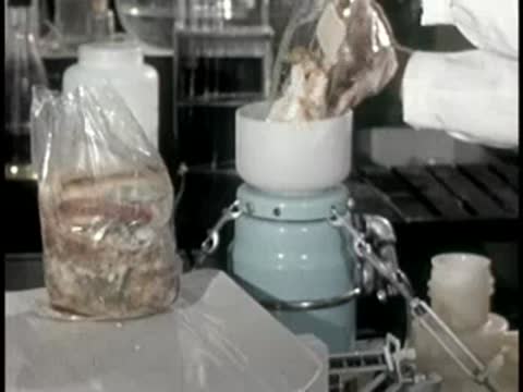 person pouring sample material from plastic bag into funnel apparatus