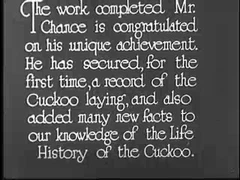 Title card regarding Mr. Chance and the life history of the cuckoo.