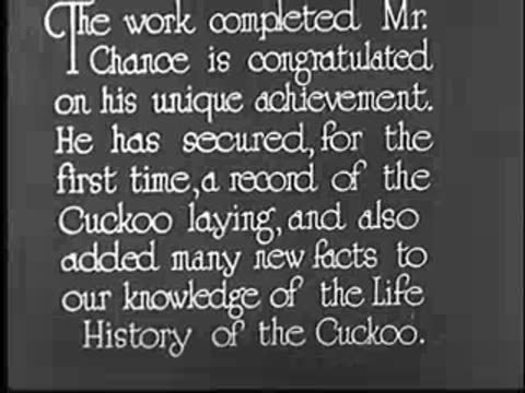 Title card regarding Mr. Chance and the life history of the cuckoo.