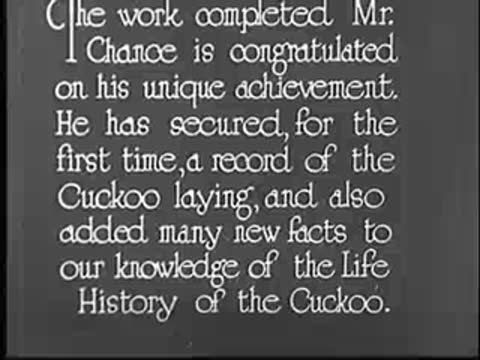 Title card regarding Mr. Chance and the life history of the cuckoo.
