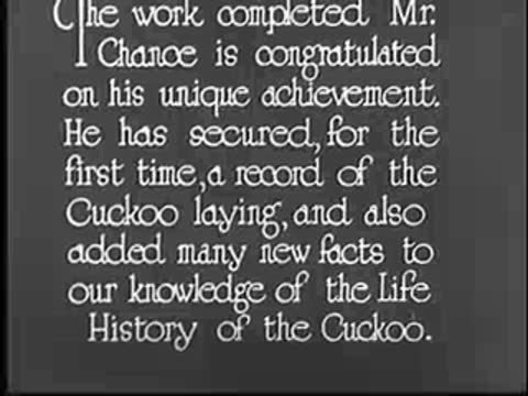 Title card regarding Mr. Chance and the life history of the cuckoo.