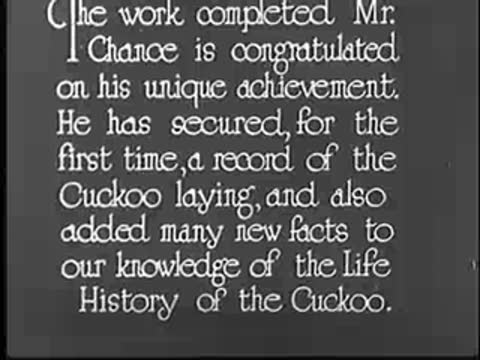 Title card regarding Mr. Chance and the life history of the cuckoo.