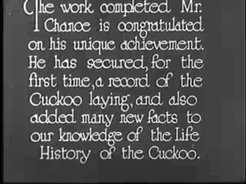 Title card regarding Mr. Chance and the life history of the cuckoo.