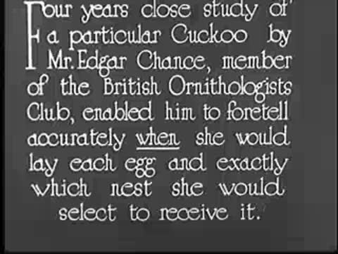 Intertitle about four years close study by Mr. Edgar Chance.